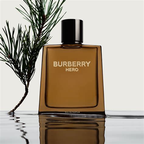 burberry ure|burberry perfume for men.